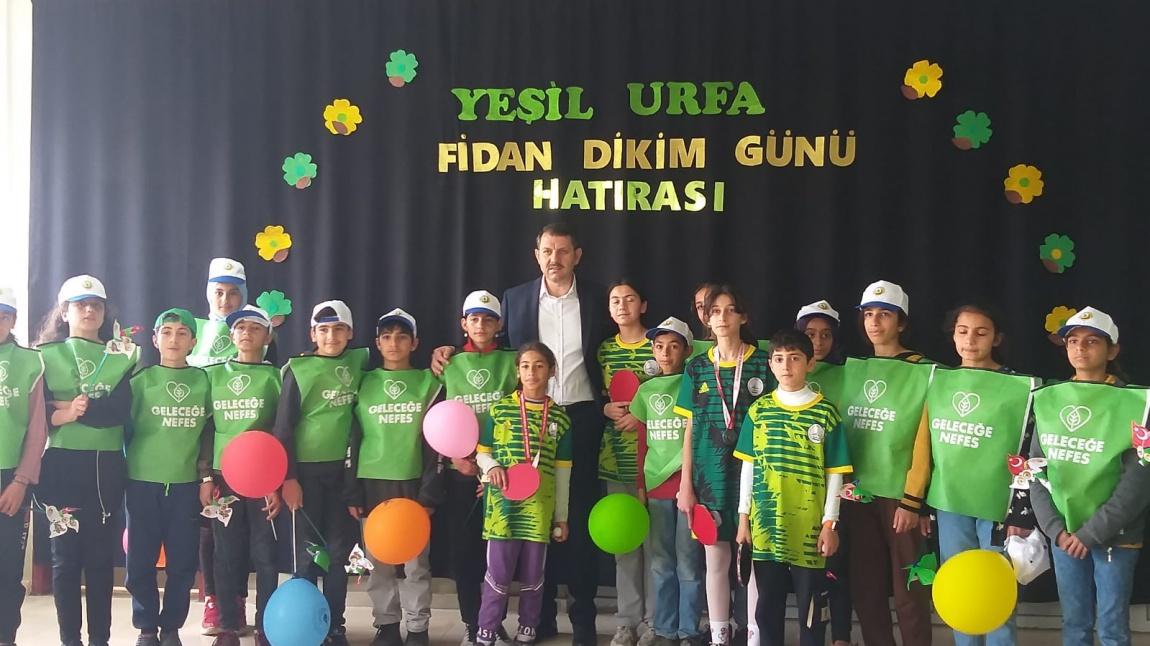 Yeşil Urfa için Fidanlar Toprakla Buluşuyor